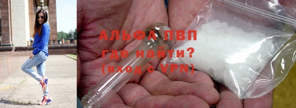 спайс Покачи