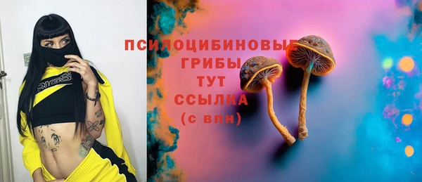 Альфа ПВП Покров