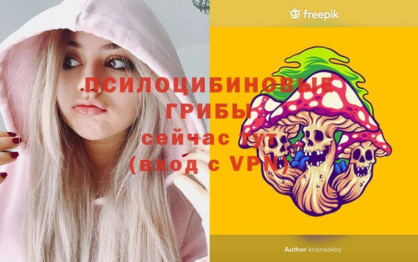 СК Покровск