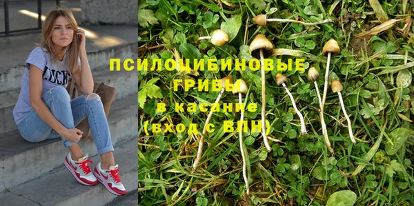 таблы Гвардейск
