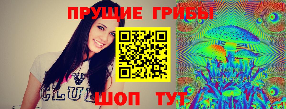 Псилоцибиновые грибы Psilocybe Кузнецк