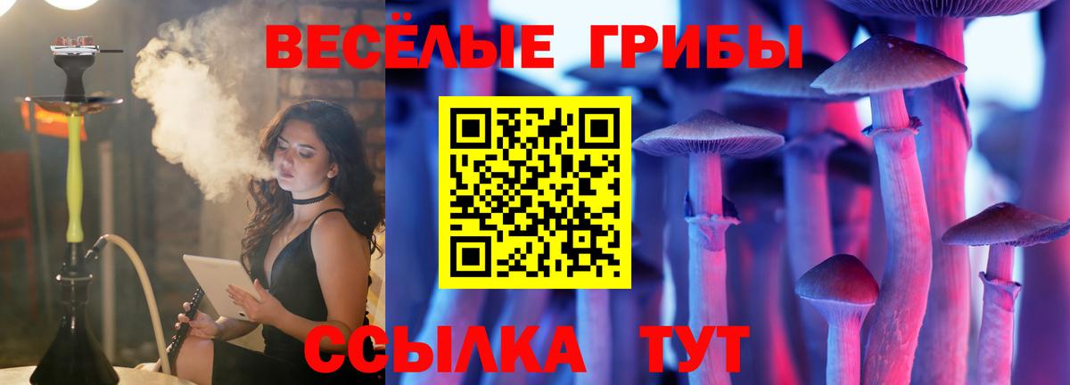 Галлюциногенные грибы прущие грибы  Вход с VPN  Галлюциногенные грибы прущие грибы  Кузнецк 